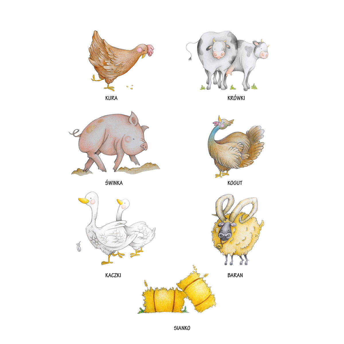 Plakat edukacyjny Na Wsi dla dzieci w ilustracje wiejskich zwierzątek