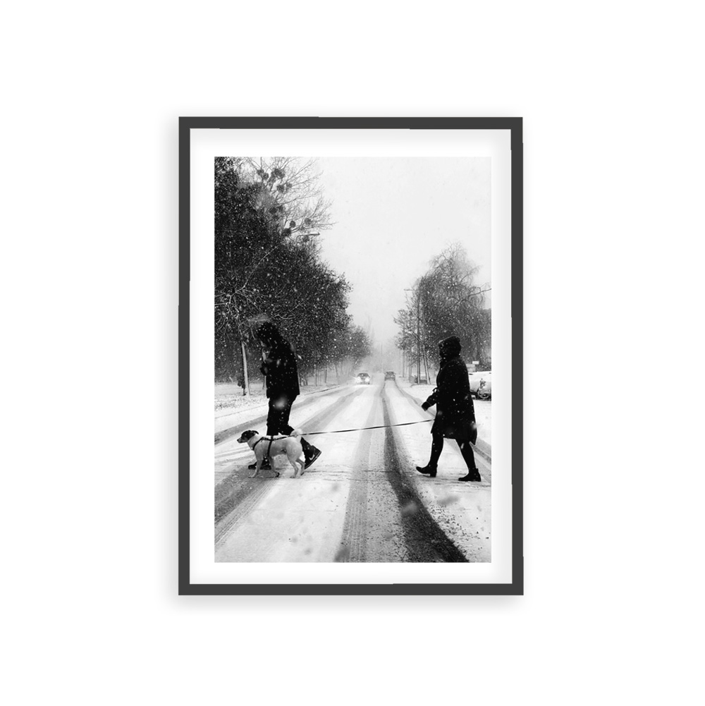 Czarno-biała fotografia ludzie z psem na ulicy plakat w ramietrmie
